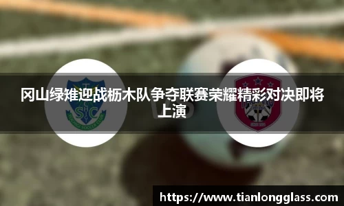 冈山绿雉迎战枥木队争夺联赛荣耀精彩对决即将上演